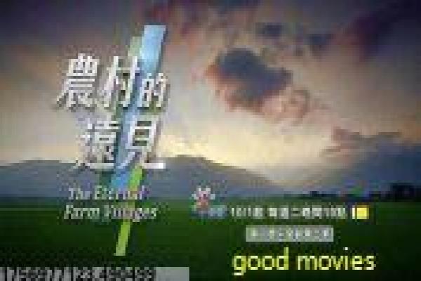 桃花盛开的地方年代设定,情感线与人物命运解析