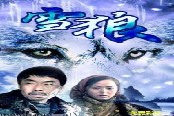 《落叶归根》|细节伏笔与象征意涵