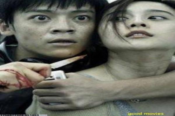 喜羊羊飞马奇遇记动物王国故事详解
