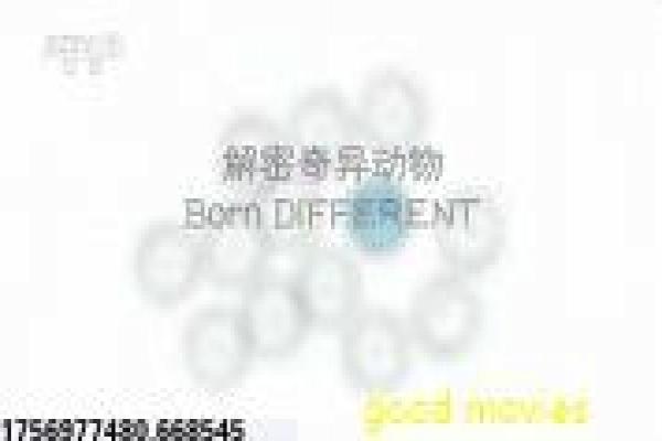 《顽主》影片桥段设计与人物关系解析