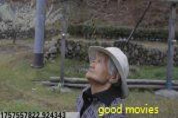 《相助》助之相影片简介与种族团结深度讲解