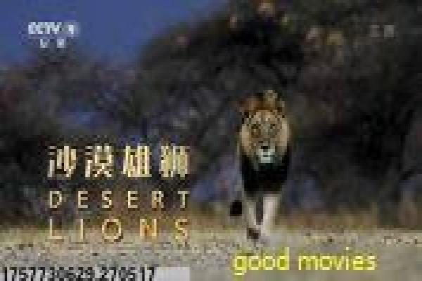 《寻找前世之旅2》2之前世影片拍摄故事及