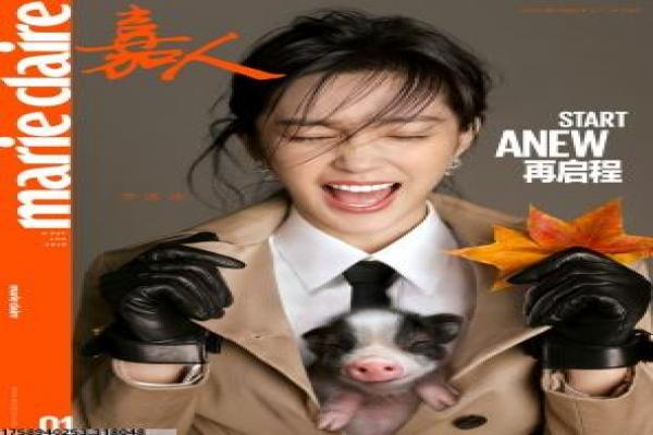 《电影tv》电影TV的影视盛宴,详细还原网络平台的资源与观影体验