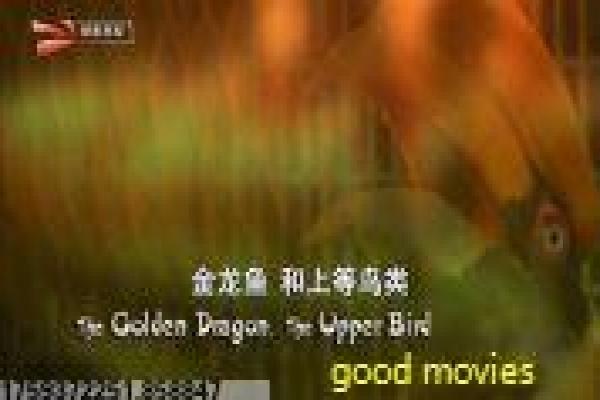 丧尸国度第二季-丧尸国度第二季隔离区,深度还原幸存者反抗与道德崩坏的末日纪实