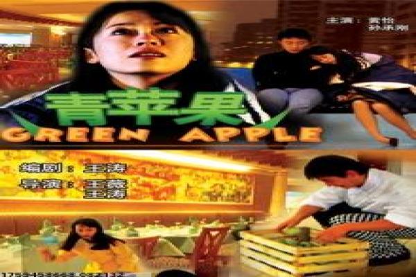 《冷面杀手》影片解析详尽,杀手冷面的暗杀行动与命运
