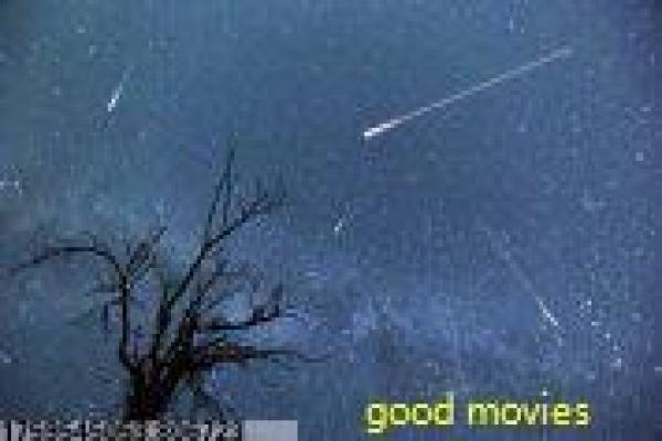 《四美寻春》影片详细,四美寻春爱情的浪漫故事