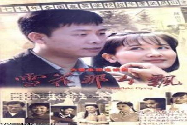 小谢尔顿-小谢尔顿天才童年,美剧电视剧详细拍摄故事揭秘物理学家的成长喜剧
