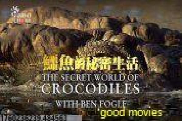 《虎啸龙吟》三国设定与智谋结构解析