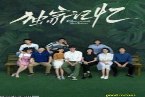 《一起露营吧 第二季》影片解析,露营一起续季的户外冒险剖析