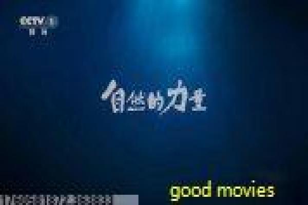 车臣不相信眼泪-车臣不相信眼泪战争,电影拍摄故事揭秘车臣冲突的热血与人性反思