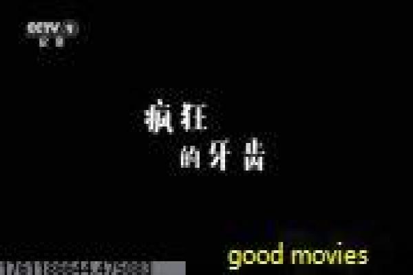 《性爱交叉点》影片解析详尽,交叉性爱的多角关系与情感