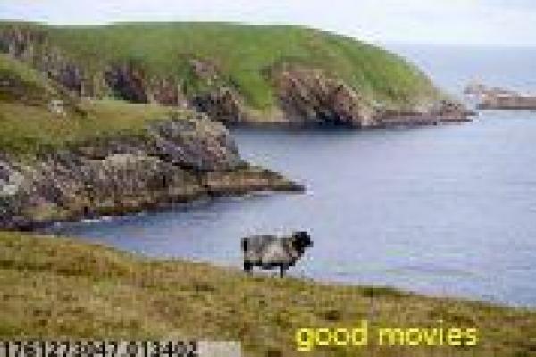 《去过月球吗》影片拍摄故事分享 - 月球去过的奇幻人生故事