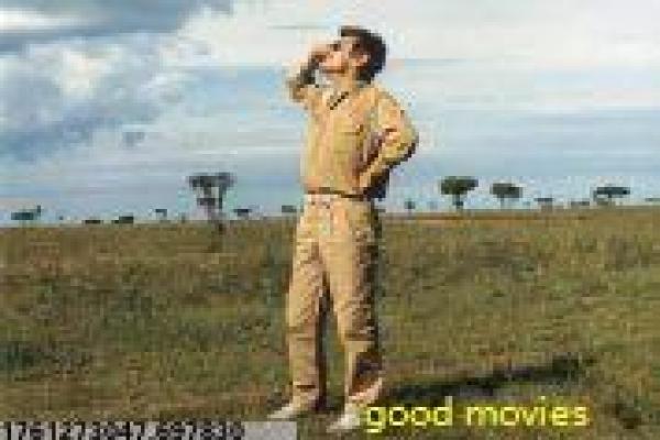 《翻译疑云》影视解析-疑云翻译的间谍悬疑,剖析语言阴谋与真相追寻,揭示法国电影的紧张与智谋