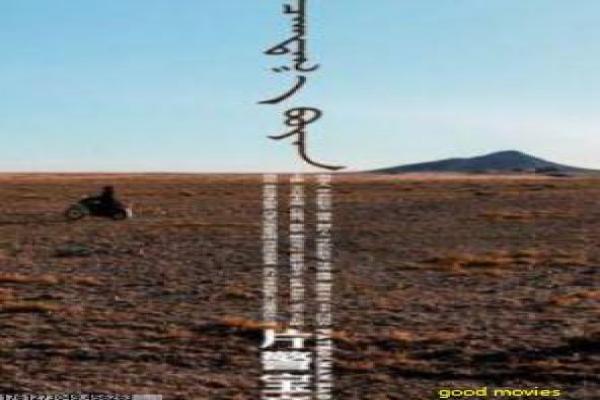 《传奇大掌柜》影片简介深度,掌柜传奇的商业与智慧