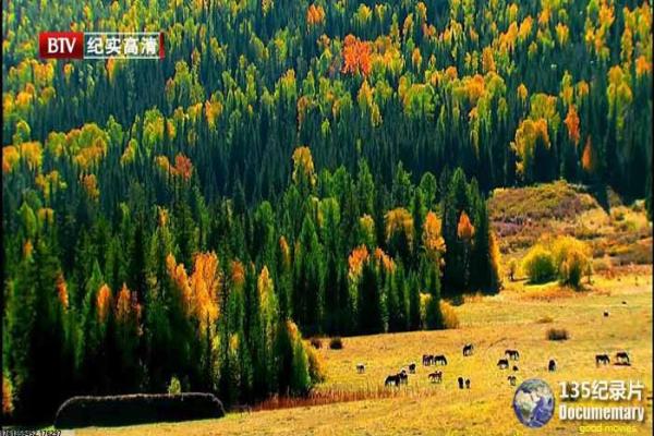 《皇家马德里,直到终点》影片简介,皇家马德里直到终点的体育传奇