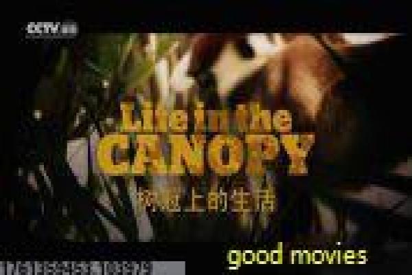 盲山高清国语完整-盲山高清国语完整拐卖,高清完整国语版电影深度解析女教师的现实主义悲剧