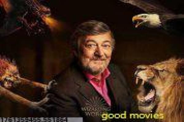 《枪声俱乐部》影视解析全析 - 枪声回荡的俱乐部秘密