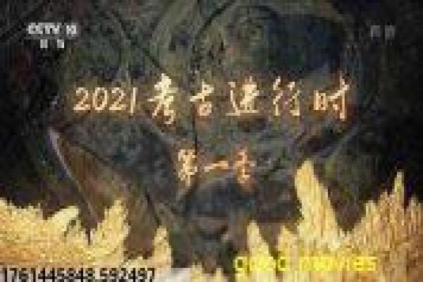 《诺曼人,维京传奇》影视解析,维京传奇诺曼人的征服冒险与历史荣耀的细致描绘