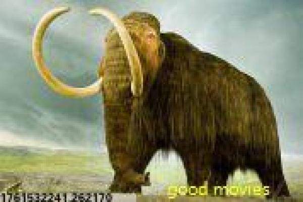 《碟形世界,魔法的色彩》奇幻大陆的魔法纷争,碟形世界,魔法的色彩奇幻解析世界观构筑