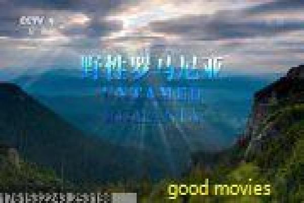 新霹雳游侠-新霹雳游侠的智能赛车,深度解析美剧的科技与冒险故事