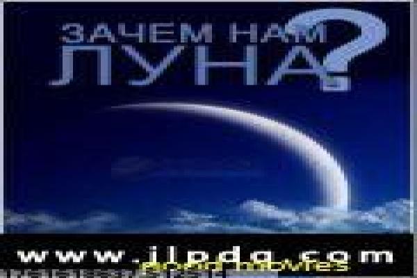 《画皮1》免费完整剧情讲解,妖狐爱情的奇幻悲剧与古装特效幕后