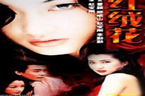 《玲珑掌柜俏厨王》故事情节深度还原,玲珑掌柜厨王的美食过程