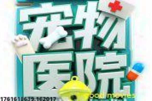 《奇门遁甲2》影片解析,奇门遁甲2神秘的武侠冒险剖析