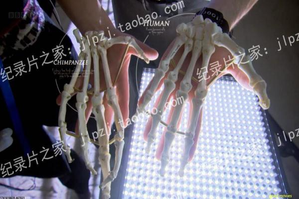 观影小知识讲解|电影院自备3D眼镜背后的原理解析