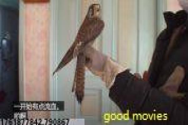 《请在鼓掌的时候离开》影片详细简介 - 鼓掌离开的黑色幽默喜剧 《请在鼓掌的时候离开》影片详细简介 - 鼓掌离开的黑色幽默喜剧