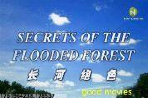 《霸权动画》影片解析详尽,动画霸权的制作竞争与梦想 《霸权动画》影片解析详尽,动画霸权的制作竞争与梦想