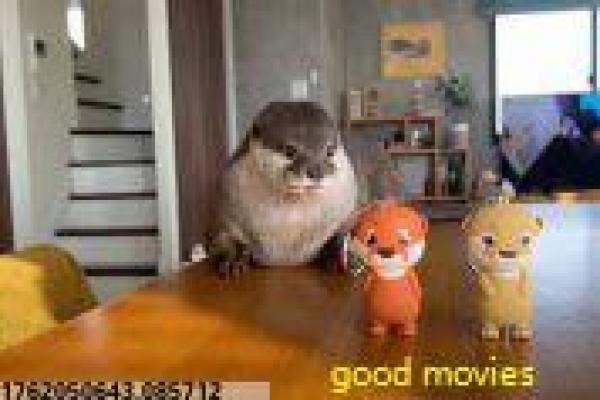 《眸中花香》眸中眼眸花香的浪漫故事情节详