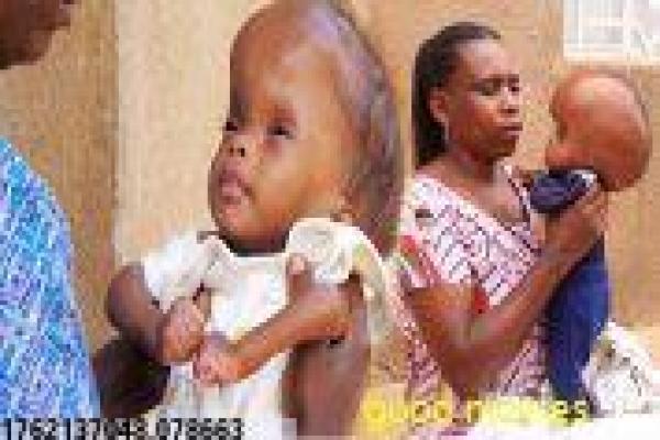 《护宝奇兵》护宝奇兵护宝寻宝奇兵的冒险故事情节深度解析