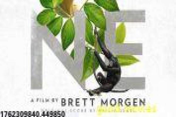 《罪恶王冠》剧情深度剖析-王冠罪恶的末世权力,剖析病毒危机与人性抉择,揭示动漫中的命运与反抗