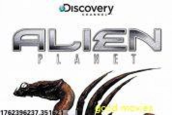 倚天屠龙记之魔教教主-张无忌魔教领袖武侠