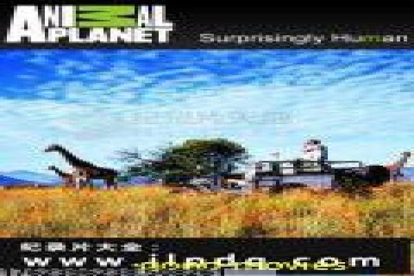 孖襟兄弟-孖襟兄弟的黑帮义气,深度解析香