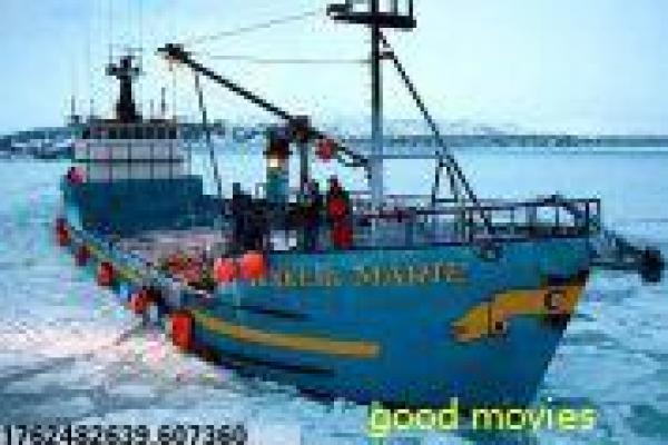 《大逃杀电影》大逃杀的生存游戏,深度解析日本恐怖片的杀戮与人性 《大逃杀电影》大逃杀的生存游戏,深度解析日本恐怖片的杀戮与人性