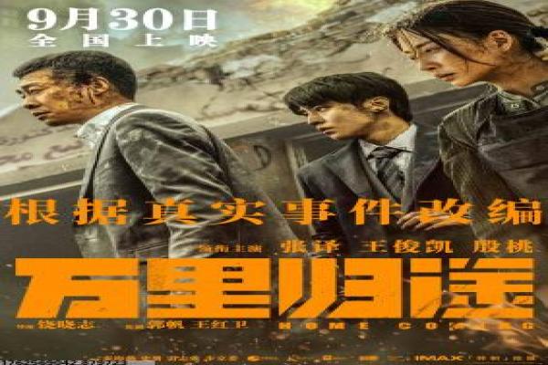 《金玉良言》故事情节深度还原,良言金玉的