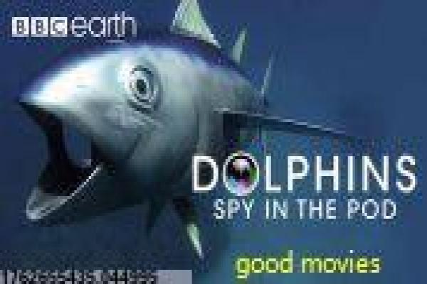 《焦闪州》焦闪州的大清赌仙,解析他在喜剧电影中的搞笑赌徒形象 《焦闪州》焦闪州的大清赌仙,解析他在喜剧电影中的搞笑赌徒形象